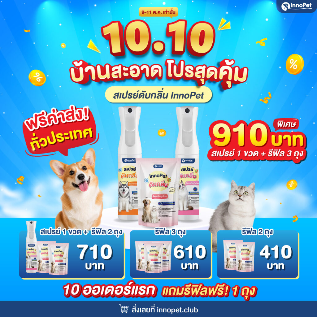 โปร 10.10 บ้านสะอาด โปรสุดคุ้ม สเปรย์ดับกลิ่น InnoPet ส่งฟรีทั่วประเทศ