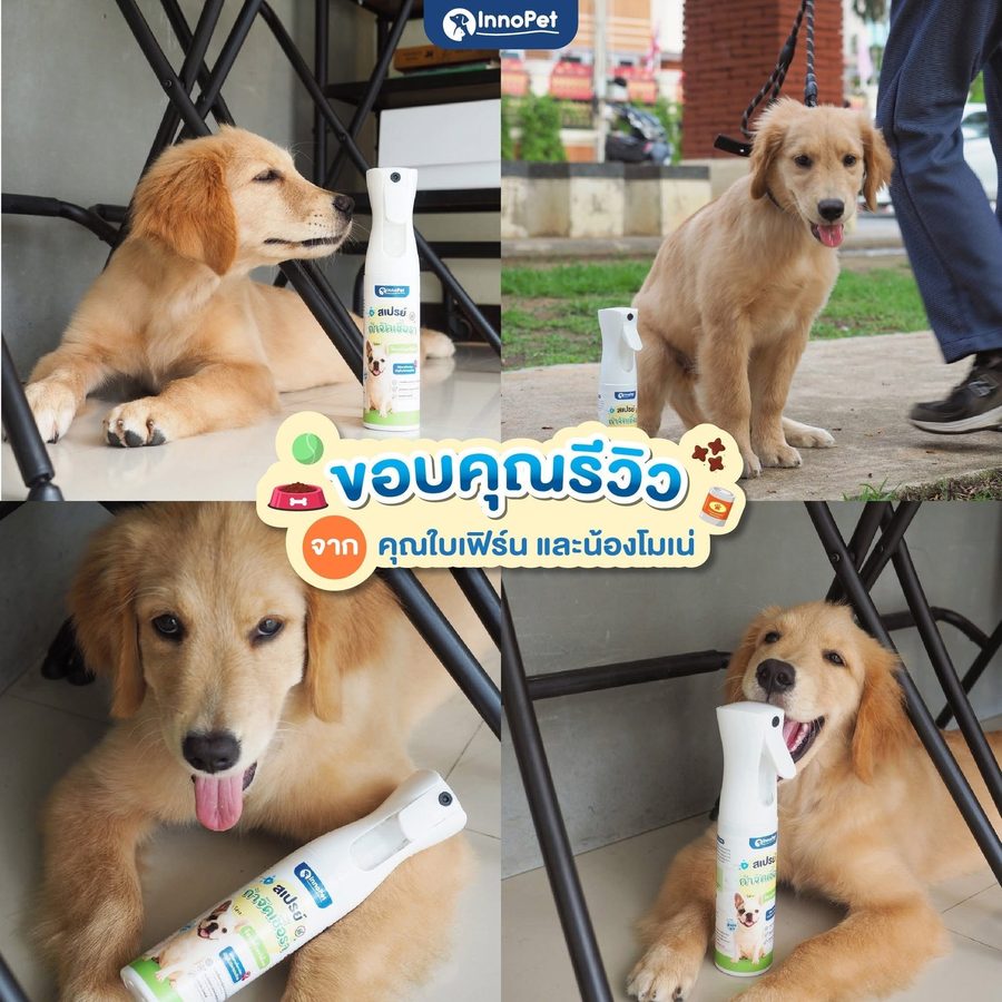 รีวิวลูกค้า InnoPet