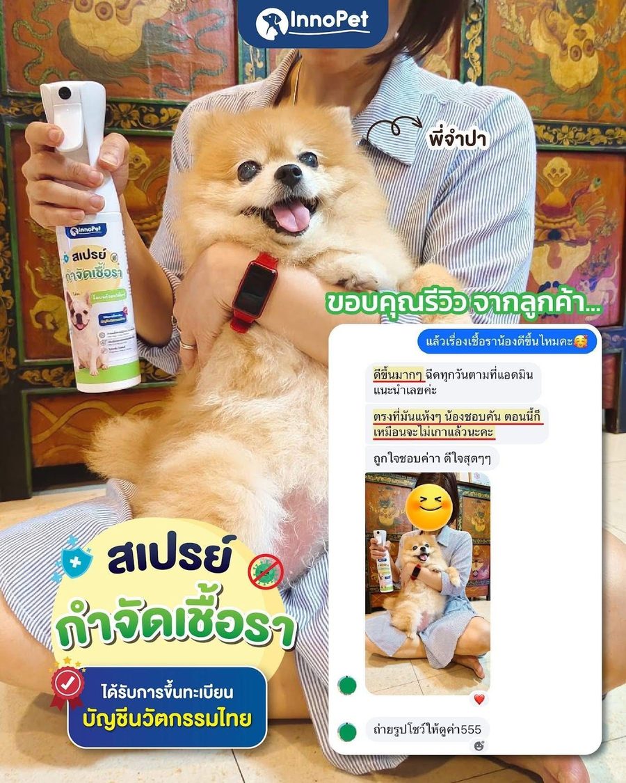 รีวิวลูกค้า InnoPet